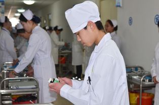 护理学校有哪些学校(春考护理学校有哪些学校)