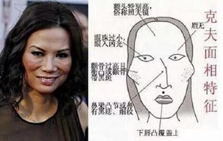 女人找姻缘面相怎么样:面相中的姻缘密码,传统文化视角下的女性婚恋指南