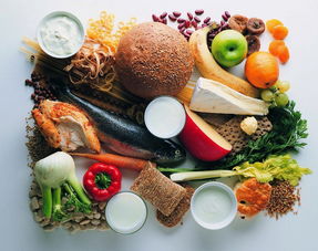 什么食物补肾壮阳效果最好：补肾壮阳吃什么食物最好？男性健康养生指南