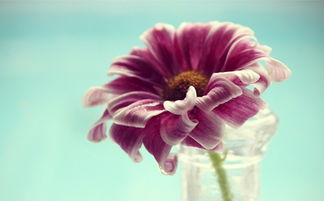 周公解梦梦见别人给自己梳头：周公解梦，梦见别人给自己梳头，预示着什么？