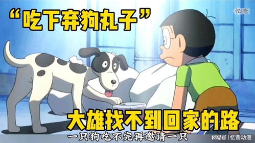 为什么每次做梦都找不到回家的路：为什么每次做梦都找不到回家的路？梦境迷航背后的科学与心理