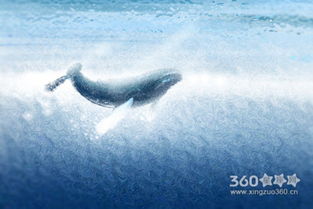 梦到与人吵架预示什么：梦到与人吵架，一场潜意识的情绪风暴