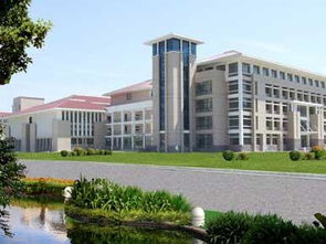 山东最好的专科师范（山东最好的专科师范学校）