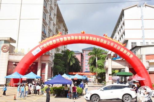 广西中医药大学（广西中医药大学赛恩斯新医药学院）