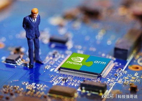 AMD单季营收创纪录却遭抛售