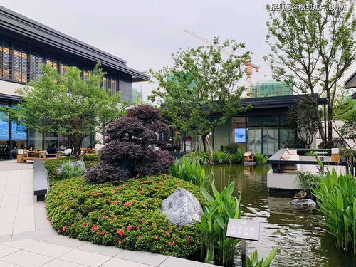 姓名解释分析大全免费：姓名解释分析大全免费版，姓名学核心知识+在线查询工具推荐