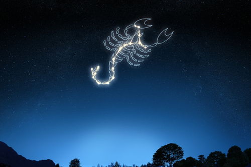 天蝎座男的性格特点:天蝎座男,炽热灵魂下的暗涌与忠诚 天蝎座男的性格特点:天蝎座男,炽热灵魂下的暗涌与忠诚