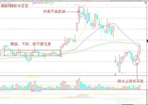 海奥斯公布“一种评估胶原蛋白肠衣的吹气检测装置及方法”专利
