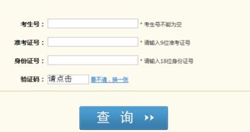 成绩查询入口（高考成绩查询入口）