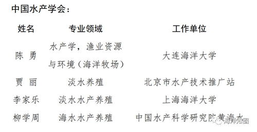 姓名测另一半长相：姓名测另一半长相，玄学与科学的交融—从姓名学看亲密关系的潜在暗示