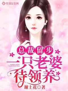 95后女孩找姻缘的小说:她在相亲市场卷成老油条 95后女孩找姻缘的小说:她在相亲市场卷成老油条