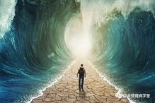 怎么查自己的命运:命运之门,探索你的人生轨迹 怎么查自己的命运:命运之门,探索你的人生轨迹