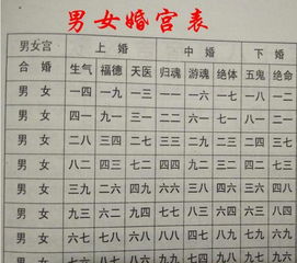 最准的八字合婚表免费:最准的八字合婚表免费,揭秘命理中的幸福婚姻指南 最准的八字合婚表免费:最准的八字合婚表免费,揭秘命理中的幸福婚姻指南
