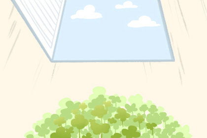 今日偏财运:今日偏财运解析,五行生财与星象指引的双重机遇 今日偏财运:今日偏财运解析,五行生财与星象指引的双重机遇