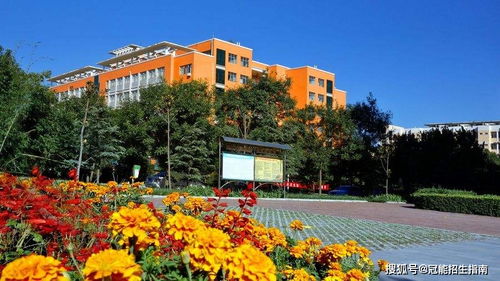 成都公办职高前十名（成都公办职高前十名学校排名）