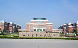 千万别来南开大学(在南开大学就读是一种什么样的体验) 千万别来南开大学(在南开大学就读是一种什么样的体验)