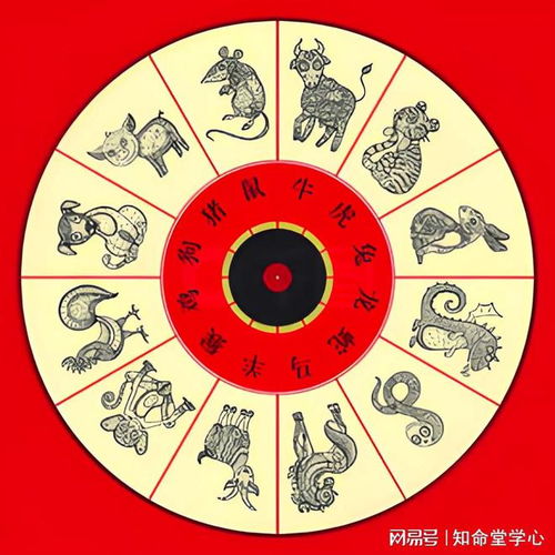 生肖运势1月下旬塔罗牌：2024年1月下旬生肖运势全解析，塔罗牌指引你的命运之轮