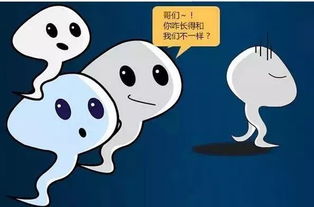 精子少是否影响怀孕:精子少,还能成功怀孕吗? 精子少是否影响怀孕:精子少,还能成功怀孕吗?