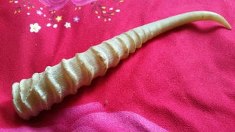 羚羊角多少钱1克最新价格：羚羊角价格最新行情，1克羚羊角多少钱？市场波动与购买指南