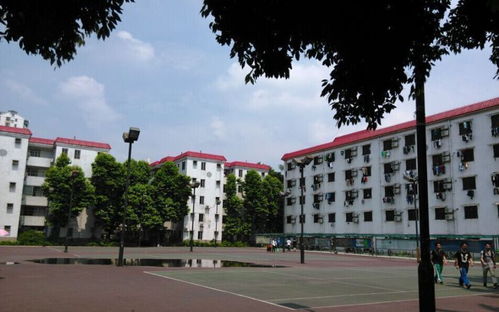 番禺职业技术学院(番禺职业技术学院就业行业) 番禺职业技术学院(番禺职业技术学院就业行业)