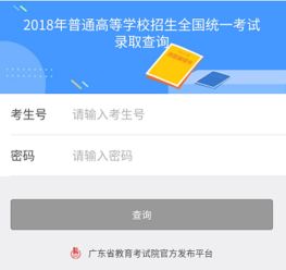 广东省教育考试院官网（广东省教育考试院官网小程序）