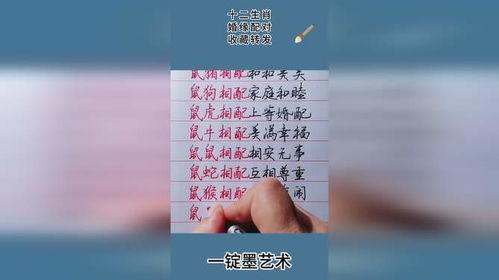 12个生肖配对表:趣味指南,12生肖配对表,揭秘你的缘分密码! 12个生肖配对表:趣味指南,12生肖配对表,揭秘你的缘分密码!