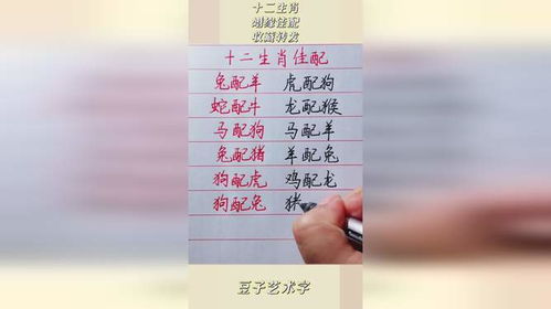 12个生肖配对表：趣味指南，12生肖配对表，揭秘你的缘分密码！