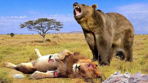 狮子女真他妈恶心:狮子女,被误解的女王形象与真实性格解析 狮子女真他妈恶心:狮子女,被误解的女王形象与真实性格解析