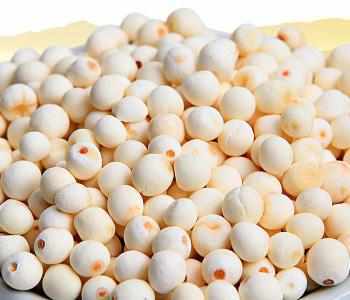 芡实的作用与功效及食用方法:芡实的作用与功效及食用方法 芡实的作用与功效及食用方法:芡实的作用与功效及食用方法