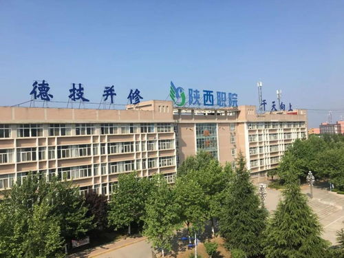 陕西职业技术学院有什么专业（陕西职业技术学院什么专业是王牌专业）