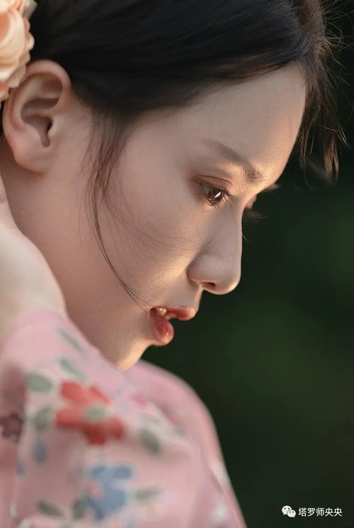 一个人拥有几副塔罗牌:藏在抽屉里的神秘力量,一个人拥有几副塔罗牌的背后 一个人拥有几副塔罗牌:藏在抽屉里的神秘力量,一个人拥有几副塔罗牌的背后