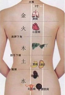 背上长白斑是什么病的症状：背部长白斑，这些病因你了解吗？