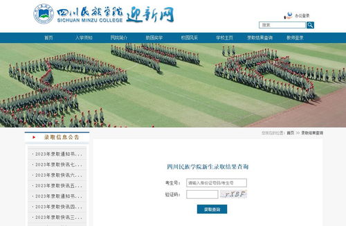 录取查询入口2023（四川省考试院官网录取查询入口）