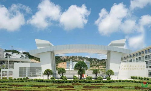 粤东技师学院学费多少（粤东技师学院是不是大专）