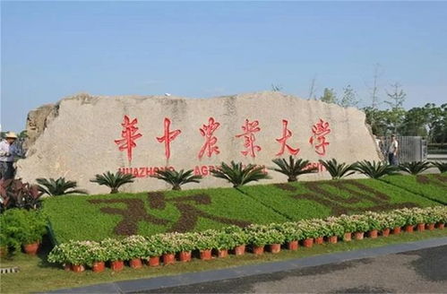 华中农业大学是985还是211（华中农大算几流211）