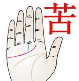 感情线能看出姻缘吗吗：解密，你的感情线真的能看出姻缘吗？