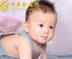 新生宝宝取名:新生宝宝取名指南,从文化传承到现代审美的科学选择 新生宝宝取名:新生宝宝取名指南,从文化传承到现代审美的科学选择