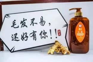 同仁堂官网旗舰店:百年同仁堂,品质传承,探索官网旗舰店的中药宝库