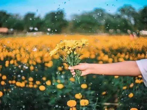 属龙人的五个贵人：属龙人的五大贵人，天时地利人和皆助你一臂之力