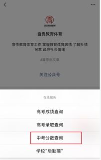 招生考试信息网官网入口(招生考试信息网官网入口四川) 招生考试信息网官网入口(招生考试信息网官网入口四川)
