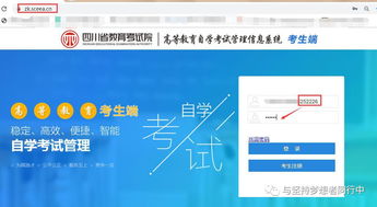 四川省高等教育自学考试(四川省高等教育自学考试官网) 四川省高等教育自学考试(四川省高等教育自学考试官网)