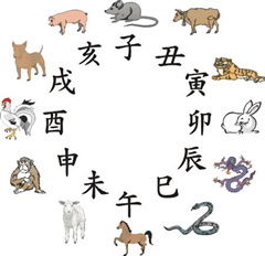 生肖配对姻缘表:2024年生肖配对姻缘全解析,哪些组合最吉兆?哪些需谨慎? 生肖配对姻缘表:2024年生肖配对姻缘全解析,哪些组合最吉兆?哪些需谨慎?