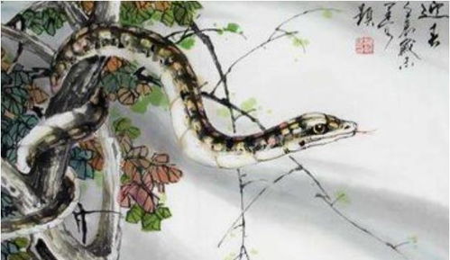 2个属蛇的结婚吉日:属蛇人结婚吉日指南,传统黄历与生肖婚配详解 2个属蛇的结婚吉日:属蛇人结婚吉日指南,传统黄历与生肖婚配详解