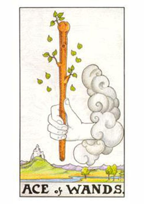 塔罗牌三个月准吗:塔罗牌三个月预测准吗?揭秘背后的真相 塔罗牌三个月准吗:塔罗牌三个月预测准吗?揭秘背后的真相