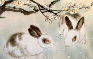 属相运势2022年生肖运程:2022年生肖运势权威解读,十二生肖全年运程与化解指南 属相运势2022年生肖运程:2022年生肖运势权威解读,十二生肖全年运程与化解指南