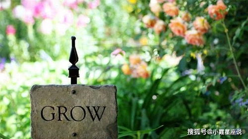 厦门姻缘桥月老牵线图片:厦门这座桥,让爱情有了仪式感!月老牵线的浪漫传说,你见过吗? 厦门姻缘桥月老牵线图片:厦门这座桥,让爱情有了仪式感!月老牵线的浪漫传说,你见过吗?