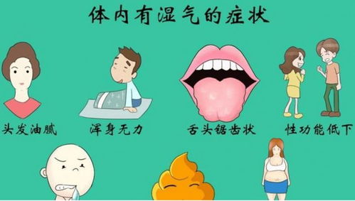 湿气重尽量六不吃:湿气重尽量六不吃,中医教你摆脱体内湿气困扰 湿气重尽量六不吃:湿气重尽量六不吃,中医教你摆脱体内湿气困扰