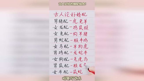 八字合婚:八字合婚,传统命理智慧与婚姻幸福的双向奔赴 八字合婚:八字合婚,传统命理智慧与婚姻幸福的双向奔赴