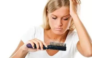 女人做梦掉头发有何预兆:梦里掉头发,是健康警示还是心理信号?解密女性梦境背后的神秘预兆 女人做梦掉头发有何预兆:梦里掉头发,是健康警示还是心理信号?解密女性梦境背后的神秘预兆