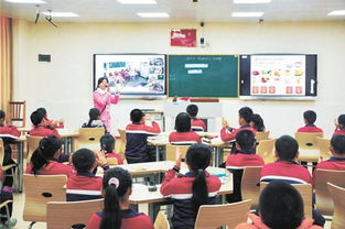 远程教育网(白玉兰远程教育网) 远程教育网(白玉兰远程教育网)